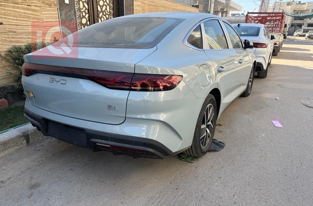 بي واي دي كوين L DM-i